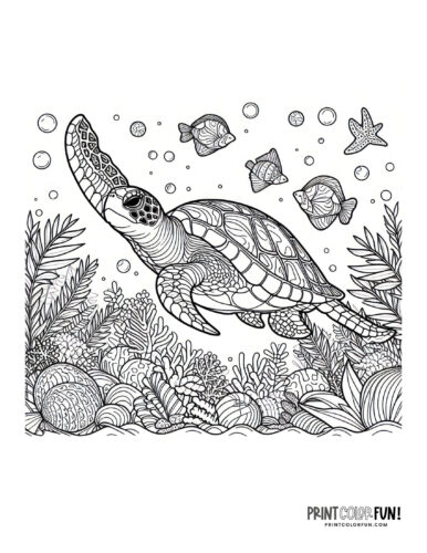 Sea turtle coloring pages clipart at