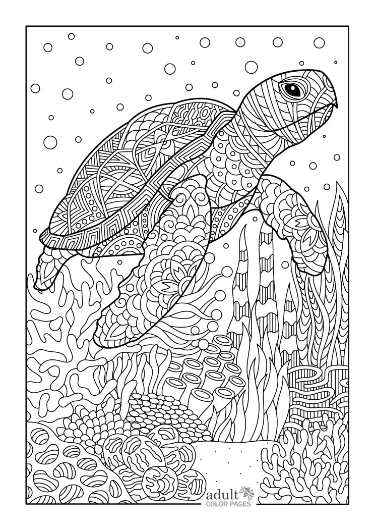 Free printable sea turtle coloring pages for adults