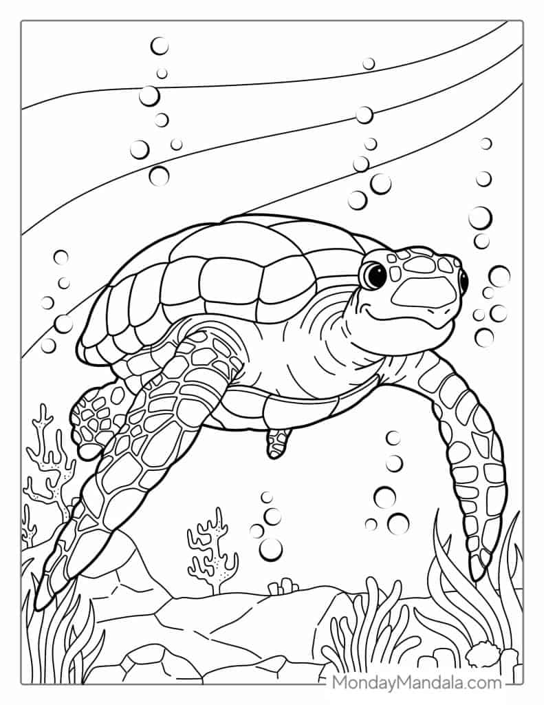 Turtle coloring pages free pdf printables