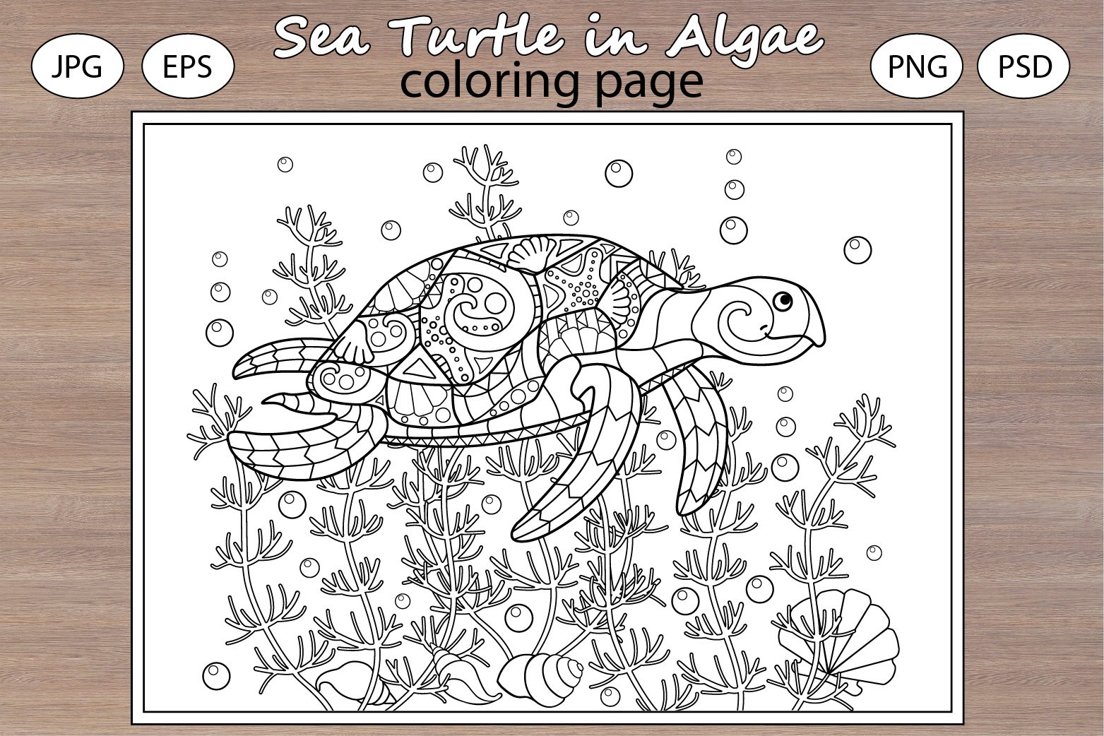 Sea turtle in seaweed
