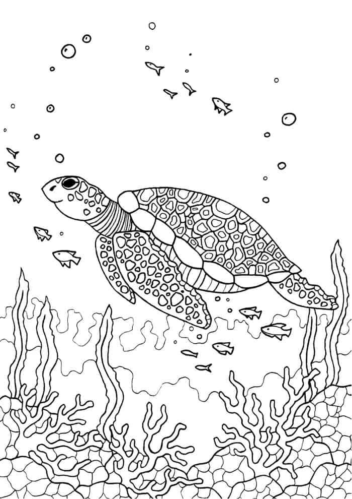 Sea turtle coloring pages pdf printable