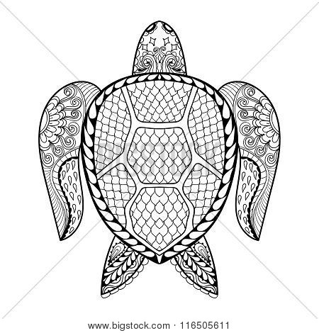 Hand drawn sea turtle vector photo free trial bigstock