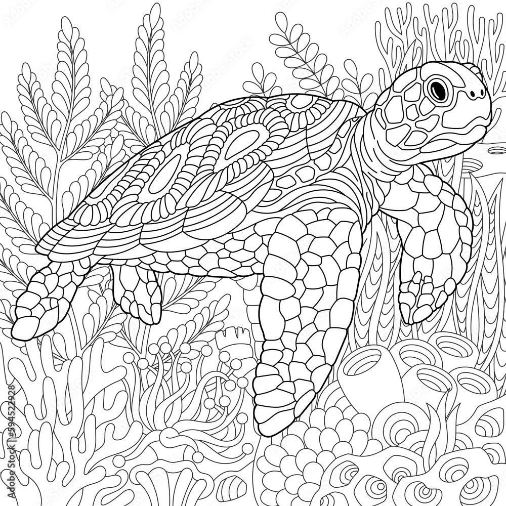Underwater scene with a turtle adult coloring book page with intricate mandala and zentangle elements vector