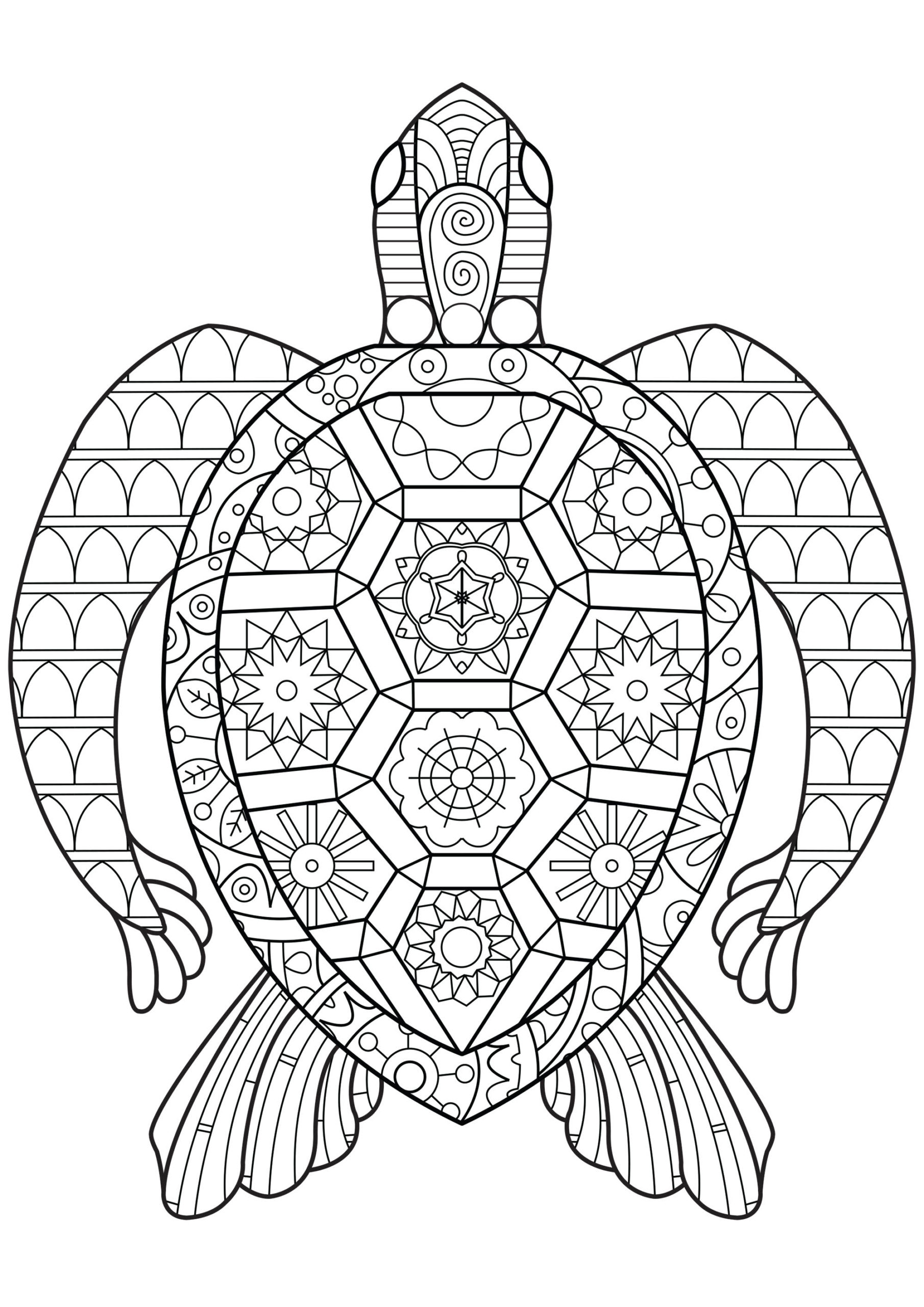 Coloring pages coloring pages zen turtle sheets turtles adult extraordinary picture inspirations free sea scaled