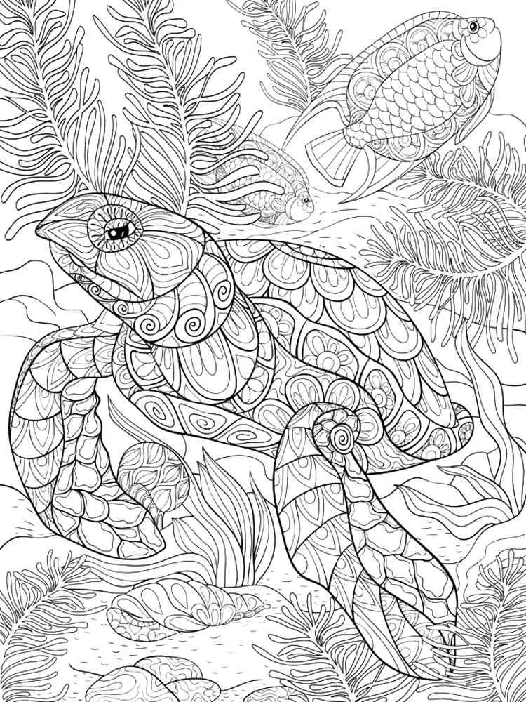 Turtle coloring pages for adults