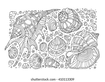 Sea shell coloring page images stock photos d objects vectors