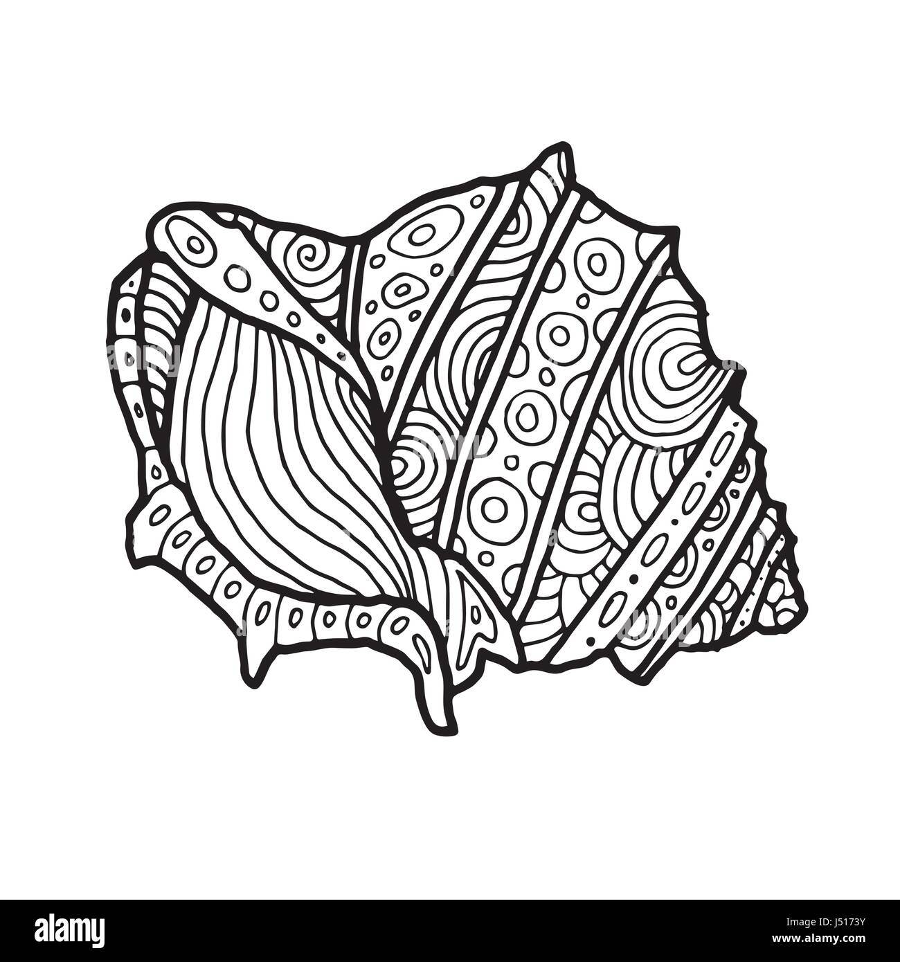 Decorative zentangle sea shell illustration outline drawing coloring book for adult and children coloring page vector printable typography for pos stock vector image art