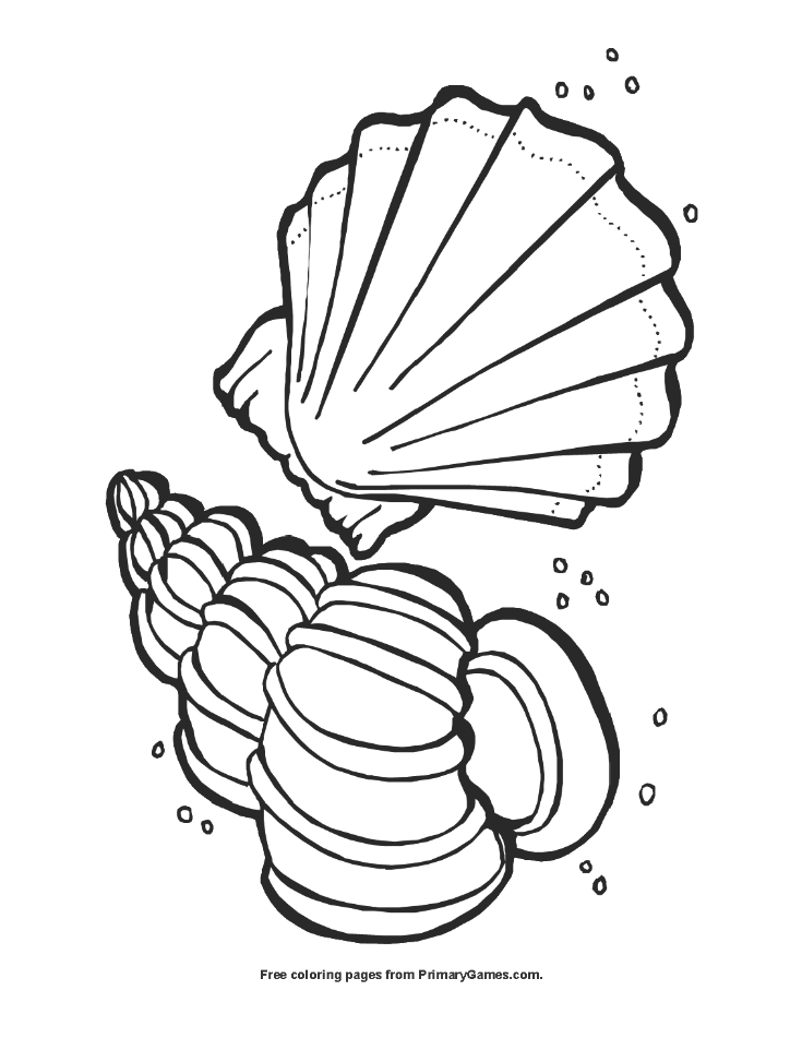 Seashells coloring page â free printable pdf from
