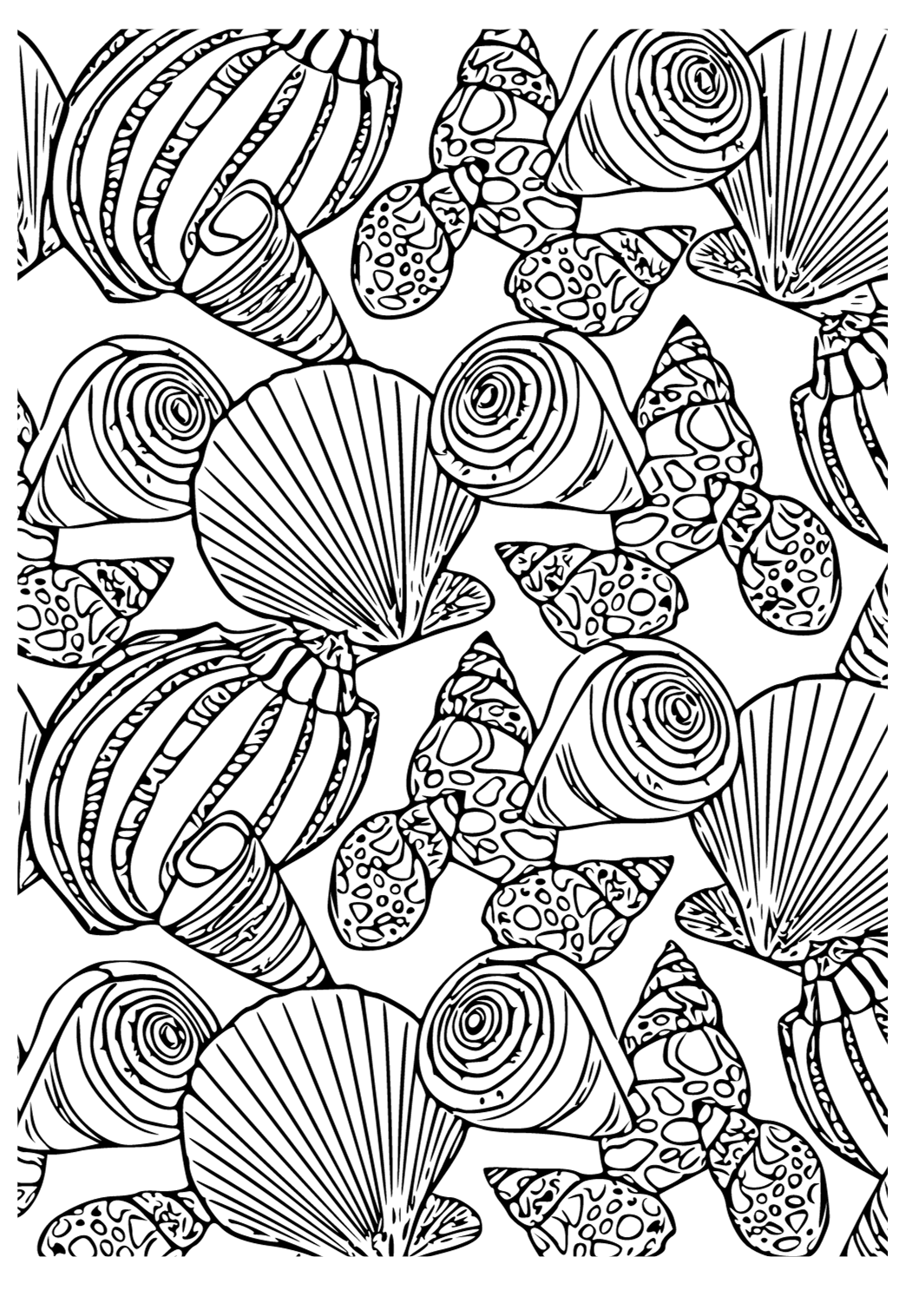Free printable seashell background coloring page for adults and kids