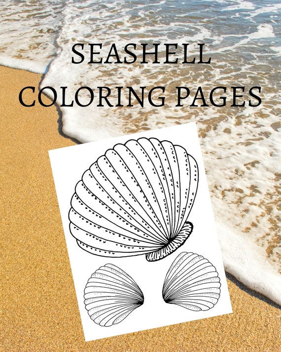 Seashell coloring pages printable colouring pages