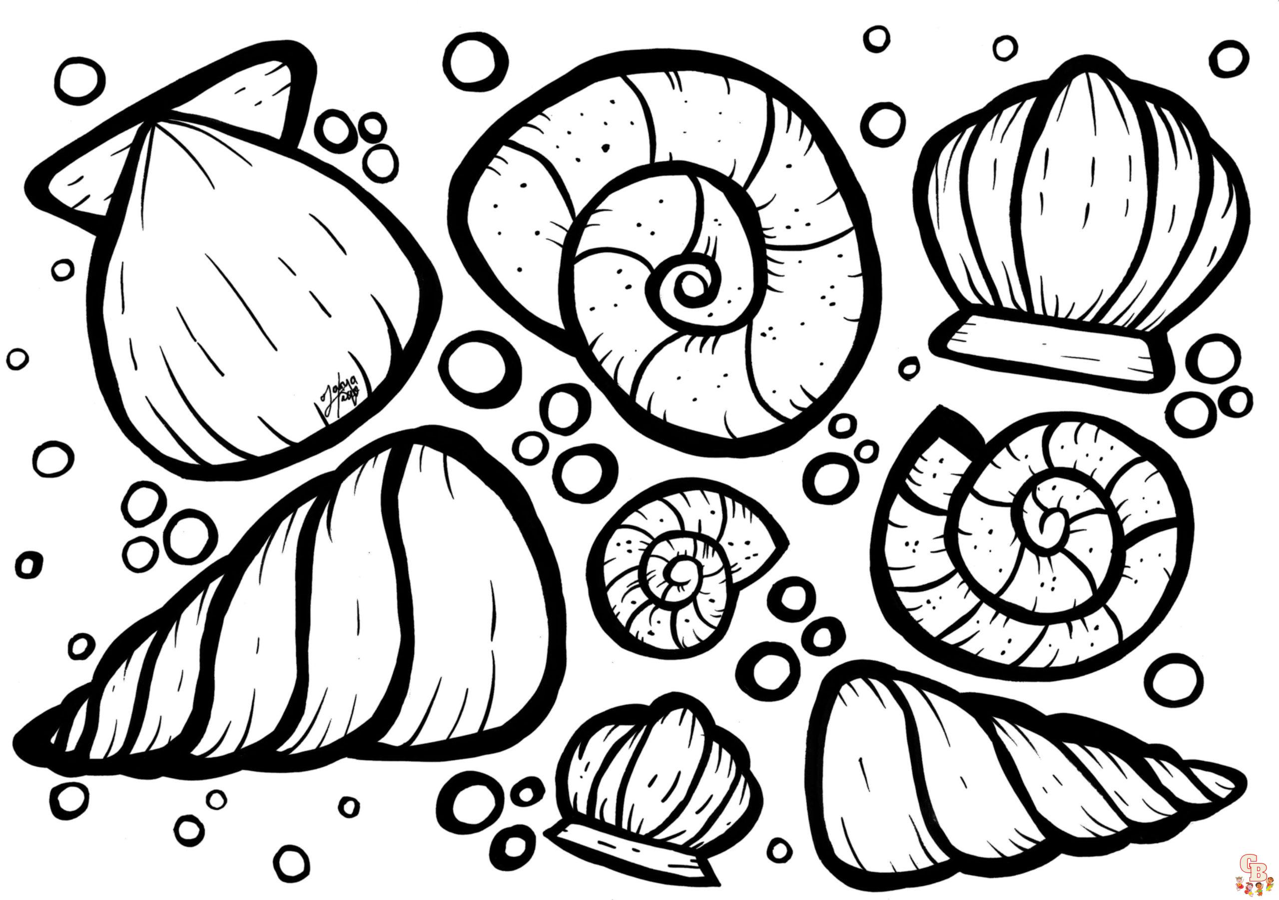 Dive into creativity with seashell coloring pages
