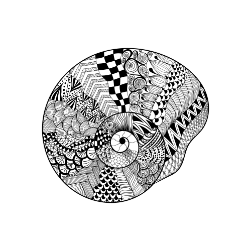 Spiral seashell coloring page