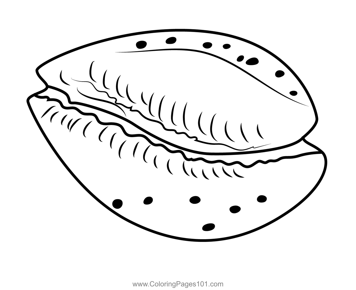 Beautiful seashell coloring page for kids