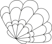 Seashell coloring pages free printable pictures