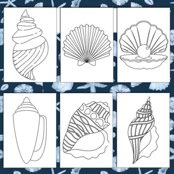 Seashells oysters coloring pages printable coloring sheets x