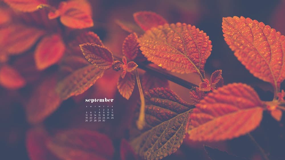 September wallpapers â free calendars for desktop and phones