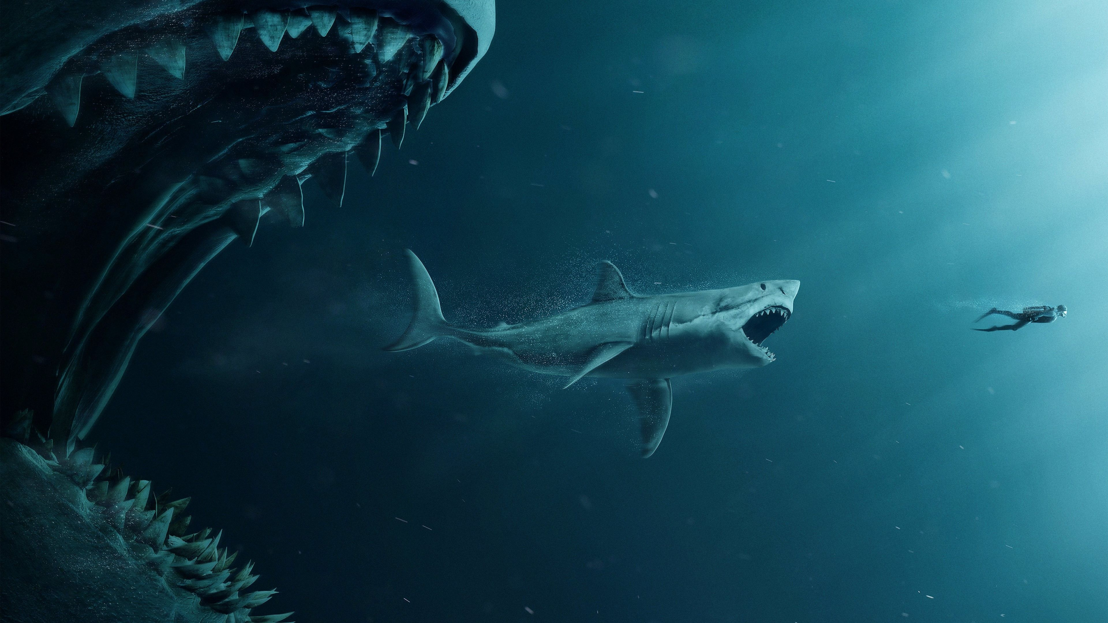 Shark wallpapers and backgrounds k hd dual screen