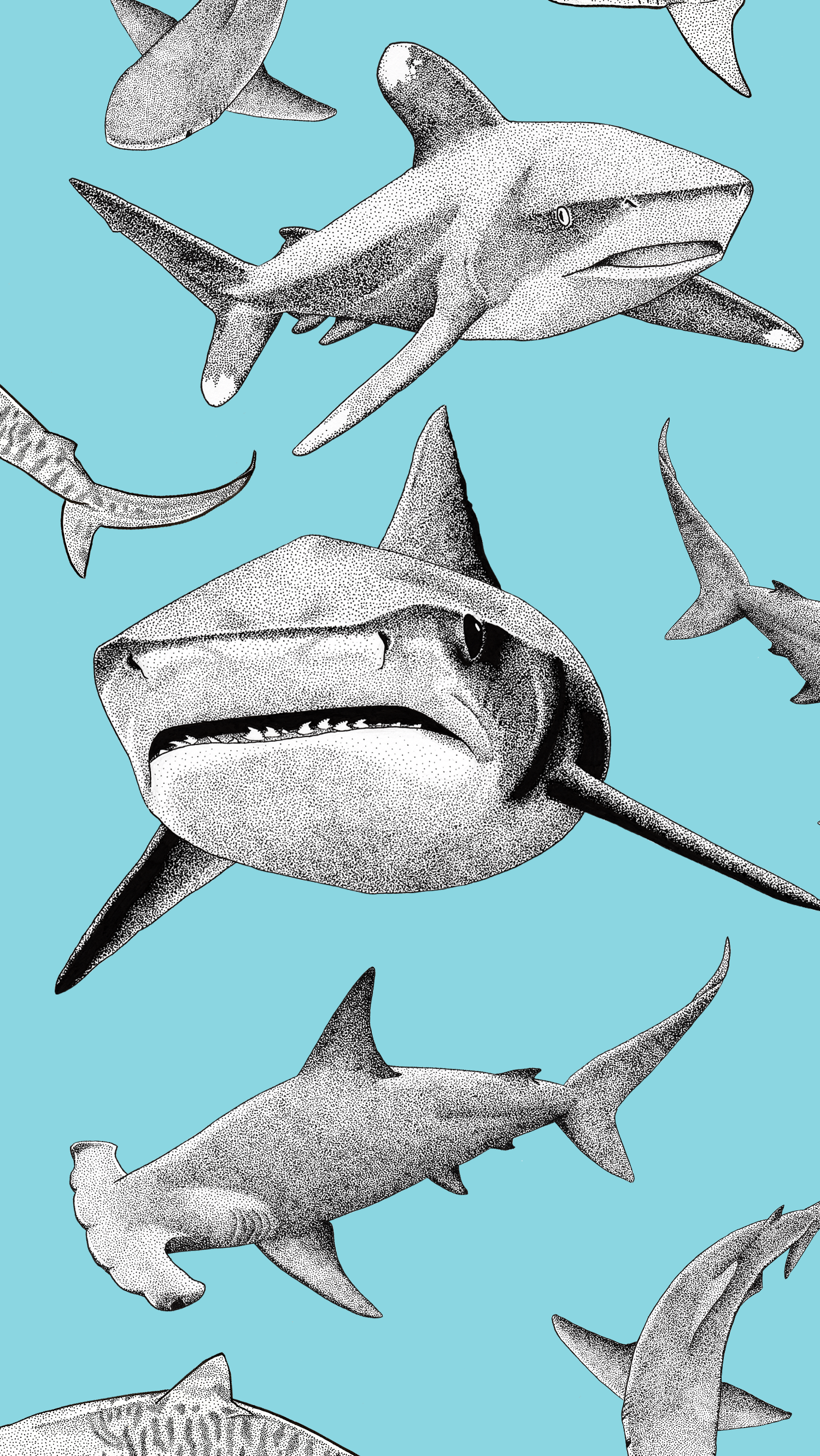 Shark art backgound shark art shark background shark wallpaper iphone