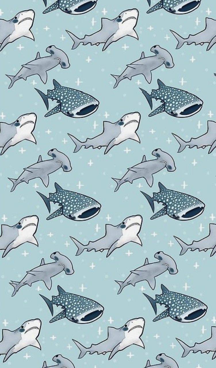 Pin by veskos on i love sharks shark wallpaper iphone shark background cute wallpaper backgrounds