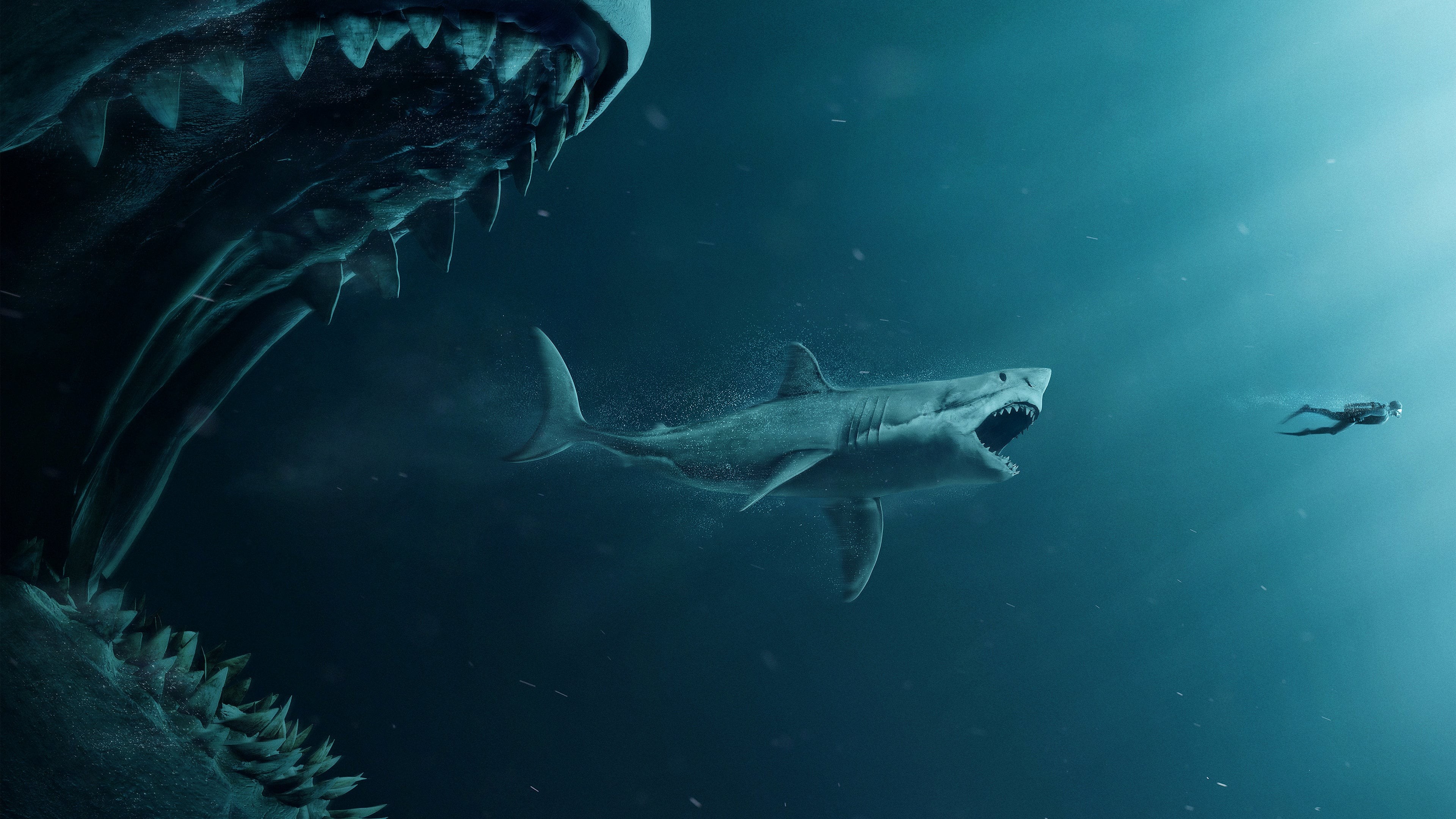 Shark k wallpapers for your desktop or mobile screen free and easy to download