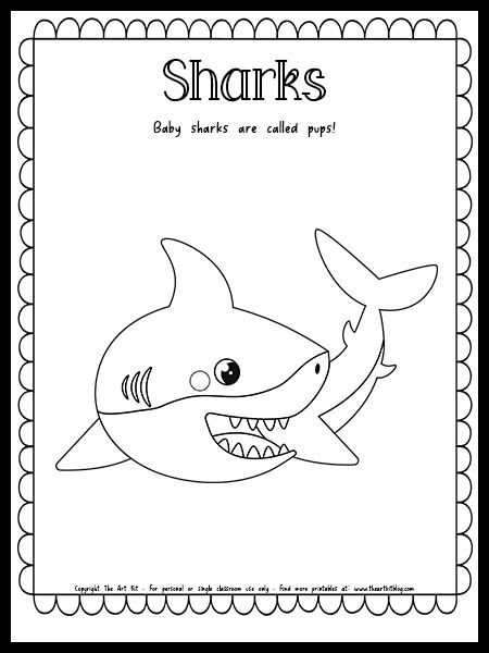 Baby sharks coloring page with fun fact free printable download â the art kit