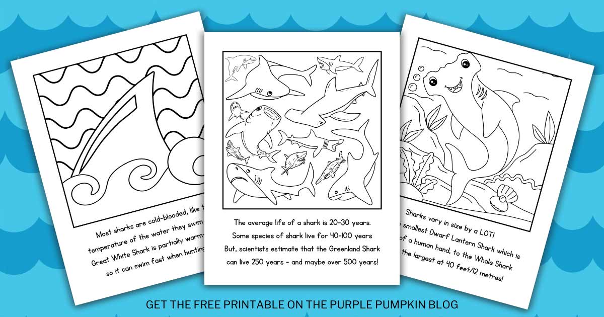 Free printable shark loring pages shark louring pages
