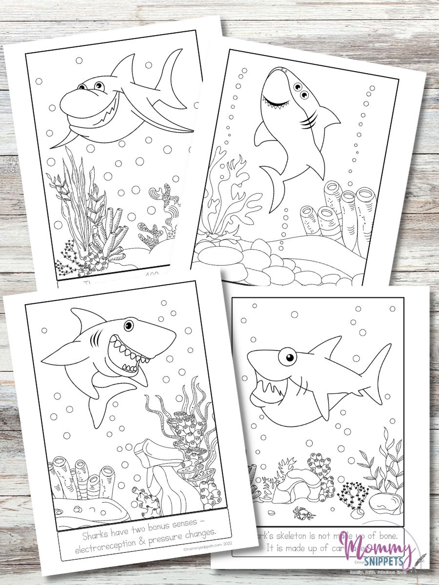 Free shark printables