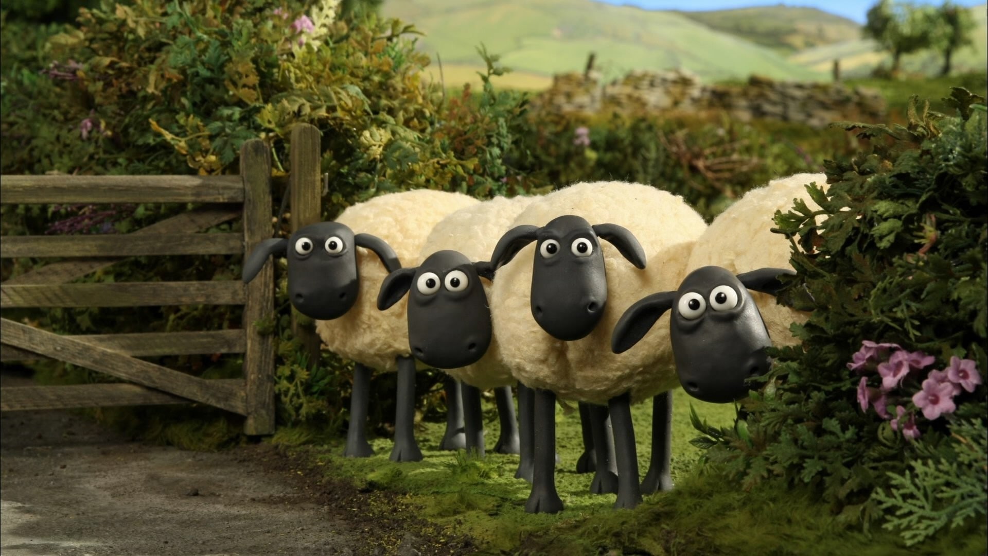 Shaun the sheep wallpaper pictures