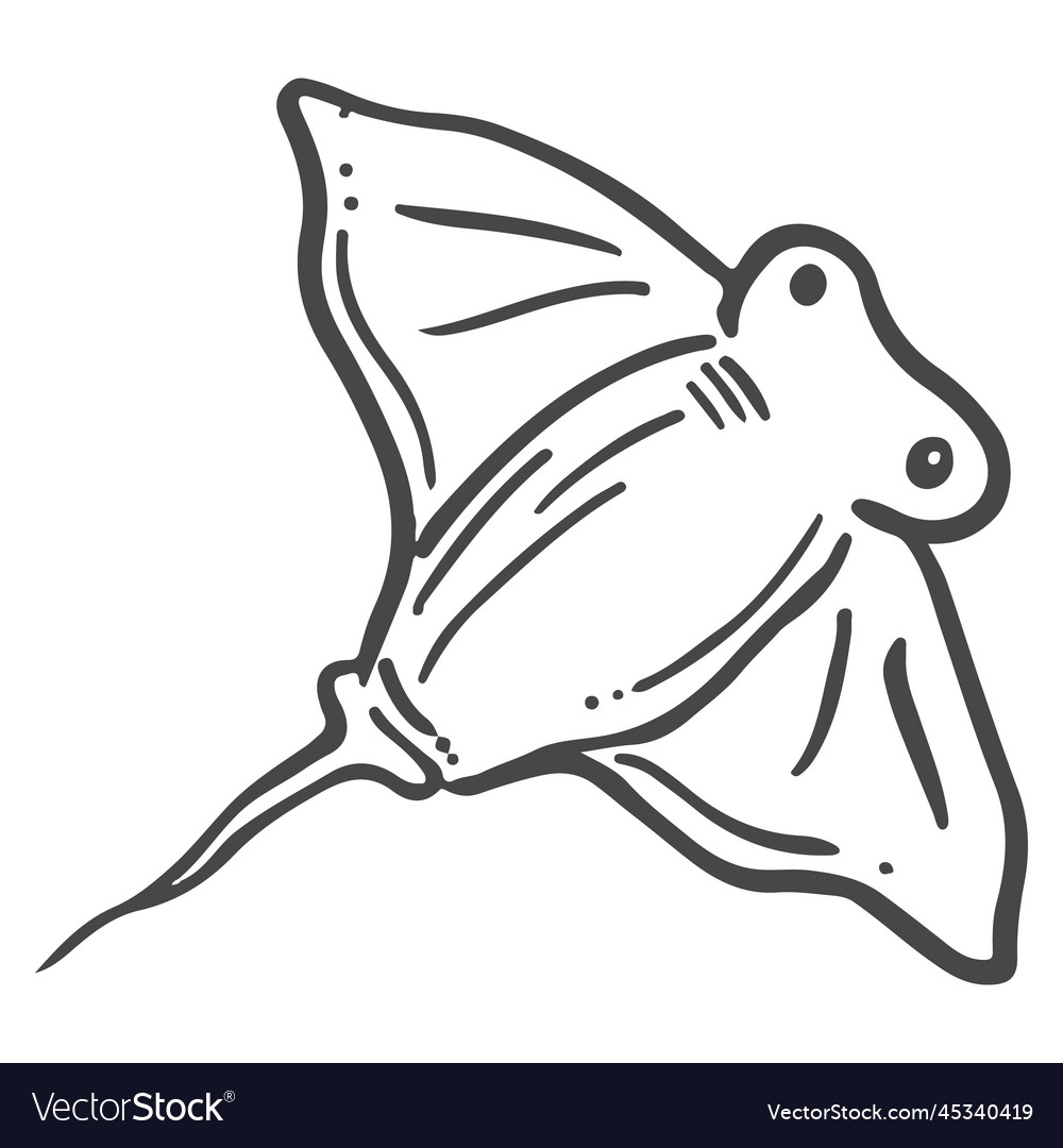 Skate fish animal in sea hand drawn sketch doodle vector image