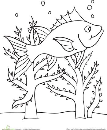 Color the swimming fish scene worksheet education color coloring pages fish