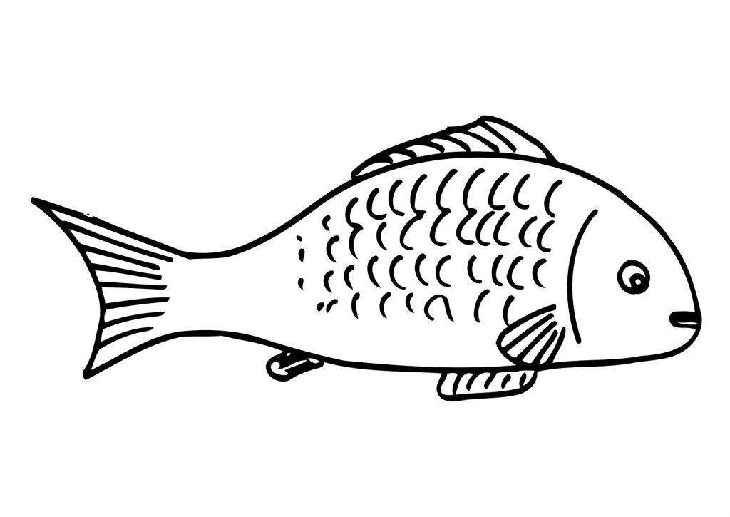 Coloring pages directory fish coloring page coloring pages shark coloring pages