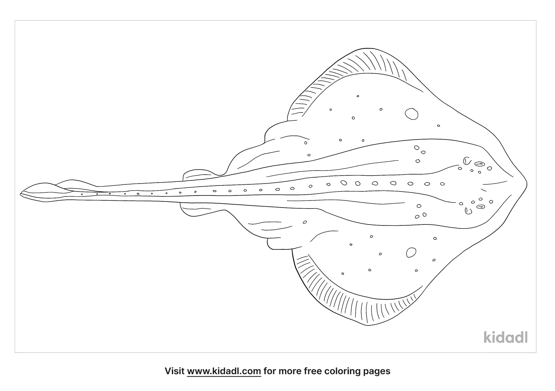 Free skate fish coloring page coloring page printables