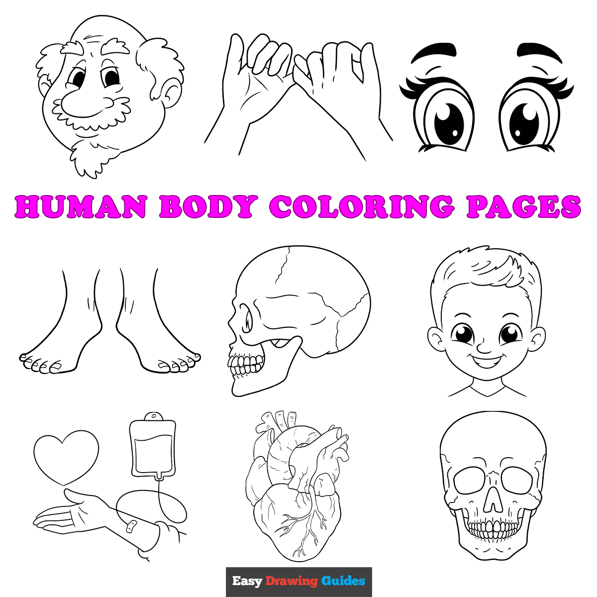 Free printable human body coloring pages for kids