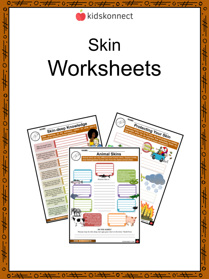 Skin worksheets skin structure function health