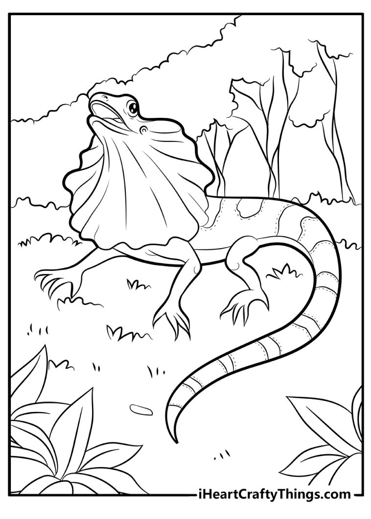 Lizard coloring pages free printables