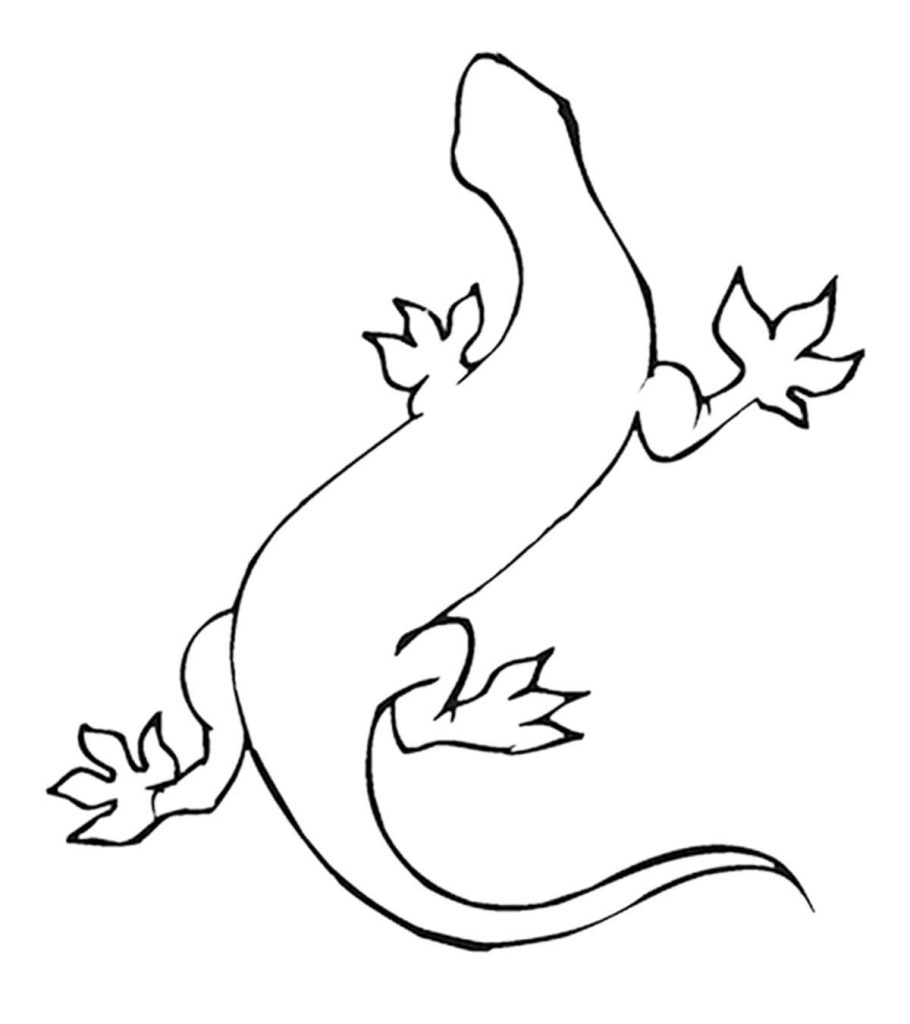 Top free printable lizard coloring pages online