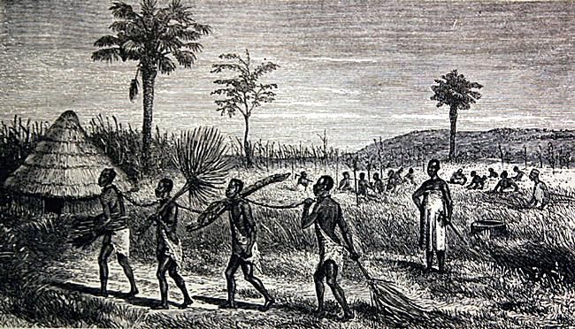 Images of african slavery and the slave trade