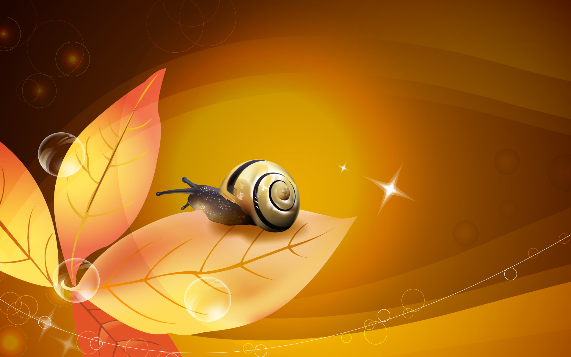 Download snail s for ile phone free snail hd pictures
