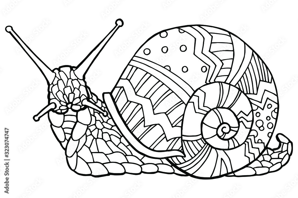 Vector illustration hand drawing snail coloring page the original print illustration for a childrens book coloring book for children and adults vector
