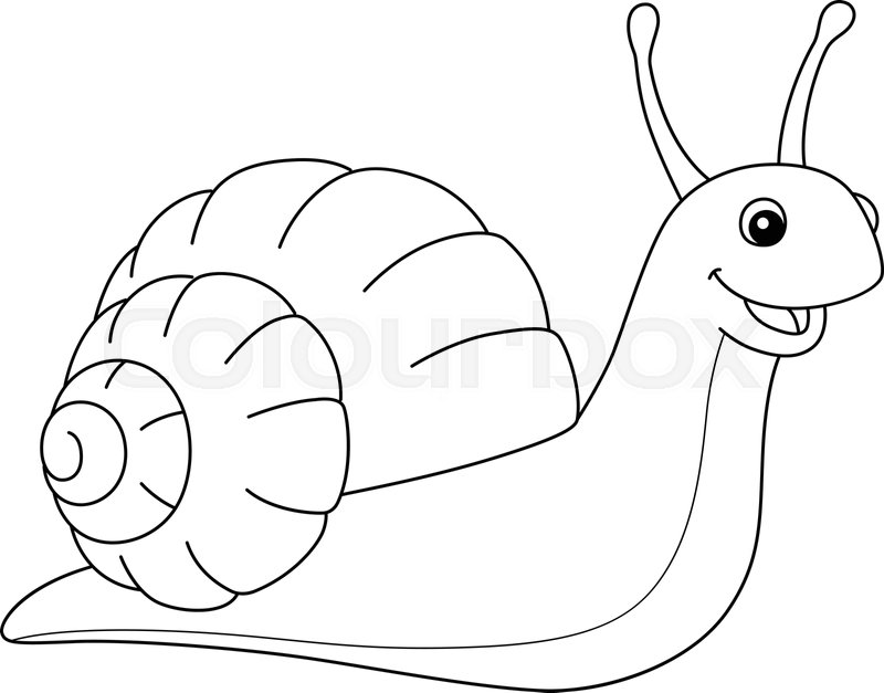 Snail animal coloring page for kids stock vector