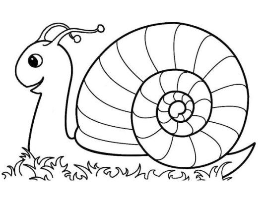 Top snail coloring and drawing sheet coloring pages heart coloring pages insect coloring pages