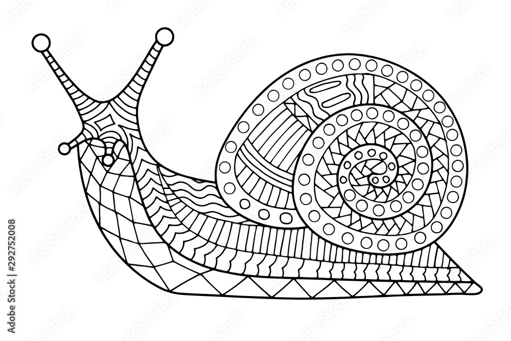 Snail coloring page contour vector illustration for children and adults vector