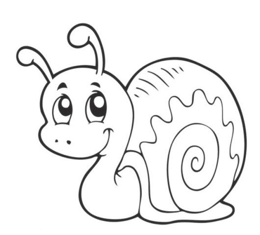 Snail coloring and activity pages for children coloring pages coloring pages for kids snail craft