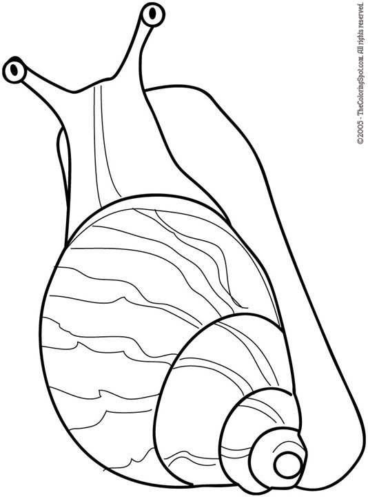 Snail coloring page audio stories for kids free coloring pages colouring printables
