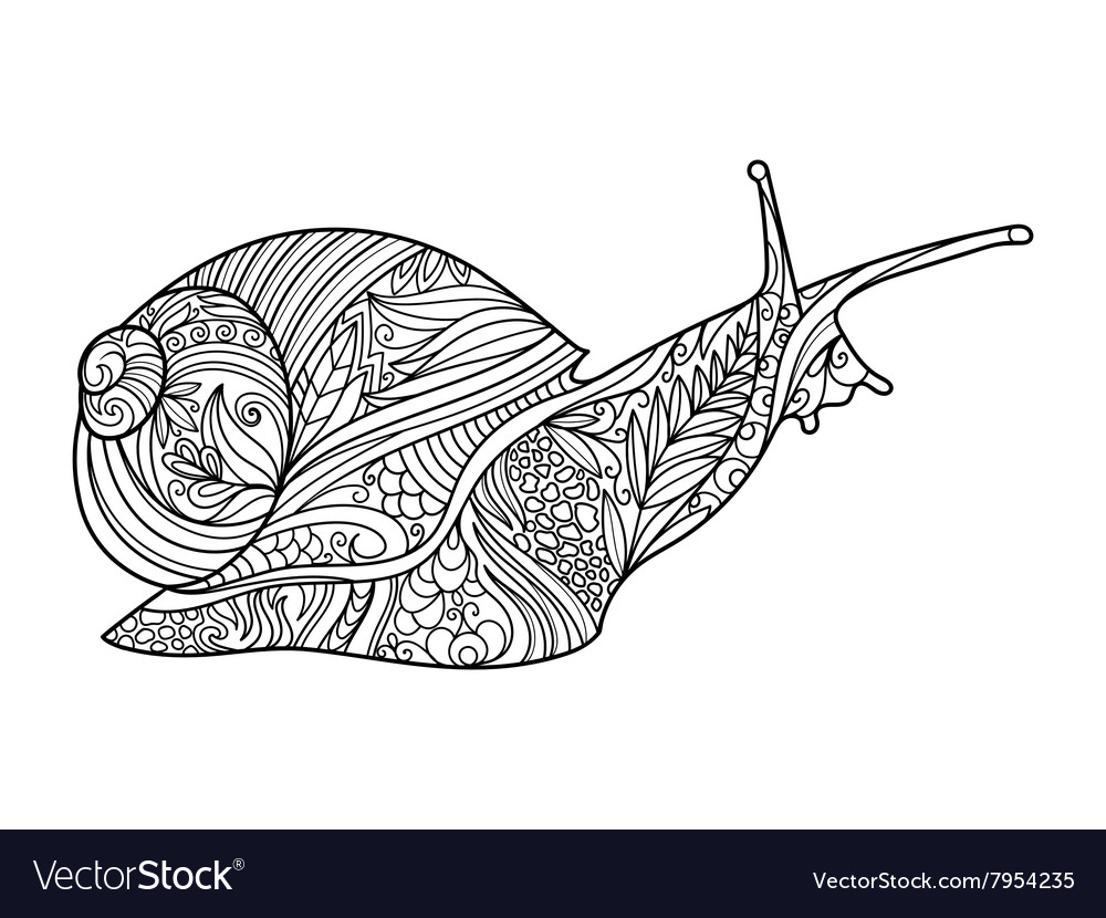 Snail coloring book for adults royalty free vector image