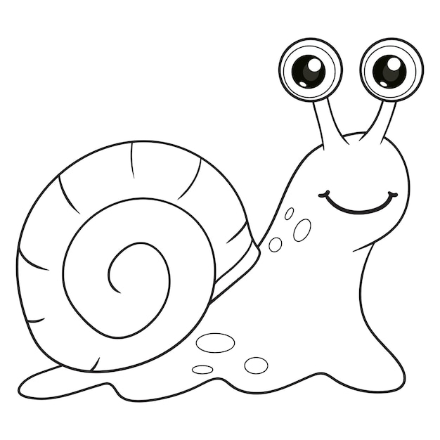 Snail coloring page images