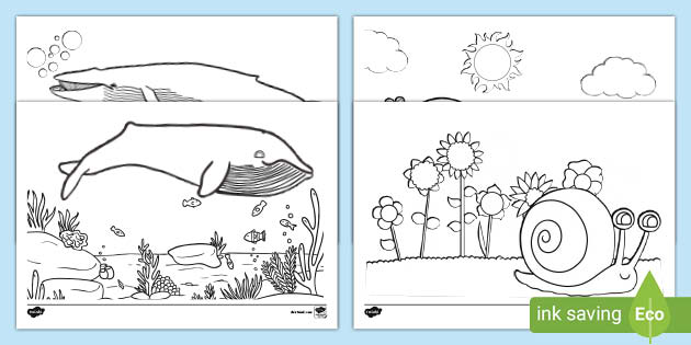 Snail and whale templates ks louring worksheets