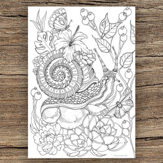 Snail printable adult coloring page from favoreads coloring book pages for adults and kids coloring sheet coloring design instant download