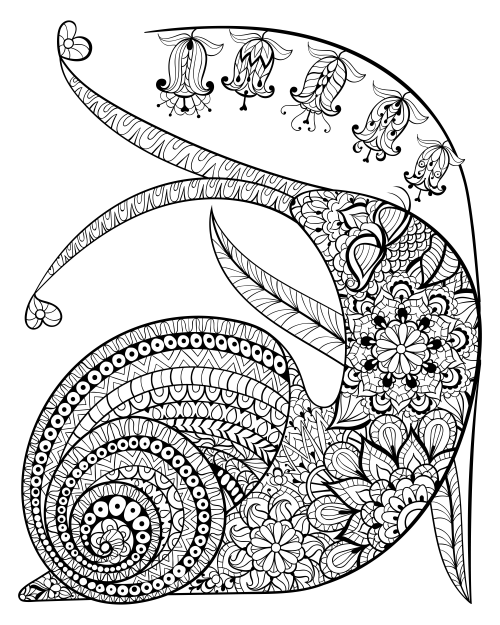 Contented snail coloring page