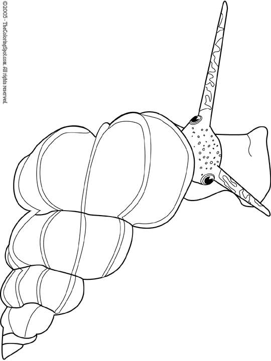 Sea snail coloring page audio stories for kids free coloring pages colouring printables